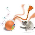 Orange O10