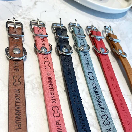 Title 5, Factory Direct Sale Cute Printing Pet Collar, F...
