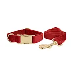 Dog pen dog rope4
