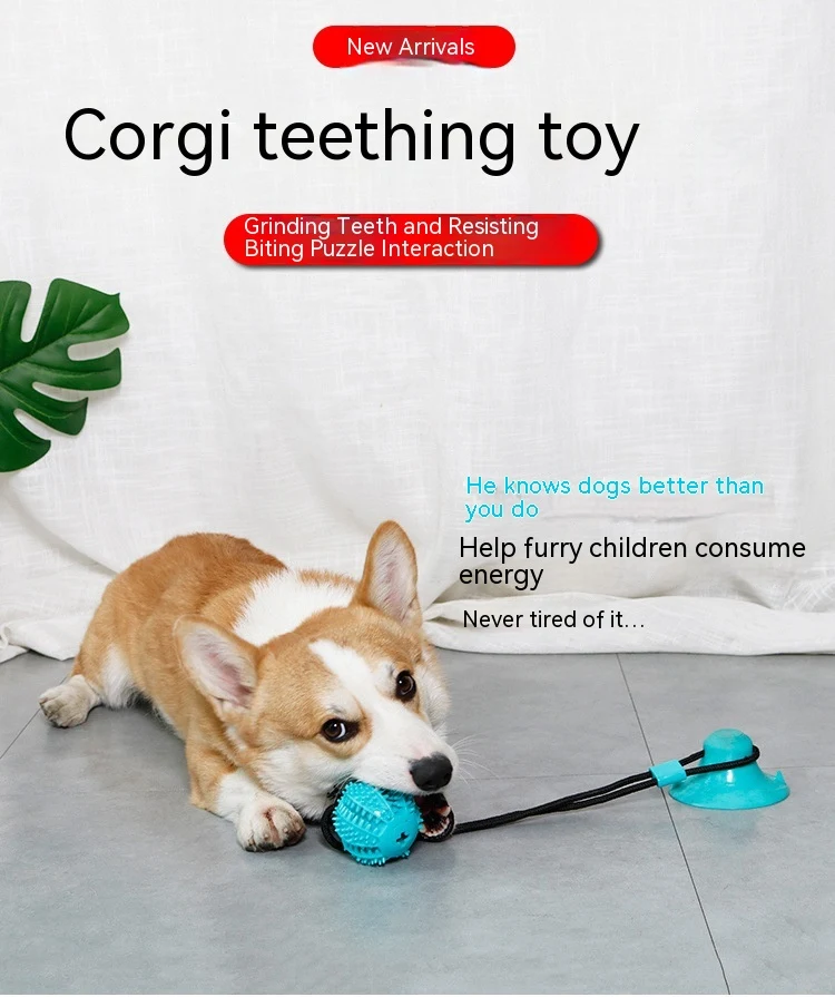 Dog toy food dropping ball, teeth cleaning molar rod brushing for healthy gums, fresher breath, playtime, and rewarding — photo 8