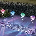 Colours 4pc