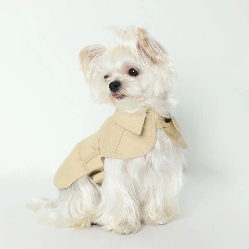 Sommer Hunde Trenchcoat im britischen Stil. Atmungsaktiv und wasserdicht. Schützende Kleidung für Hunde. Modischer Look für heiße Tage. — foto 2