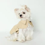 Sommer Hunde Trenchcoat im britischen Stil. Atmungsaktiv und wasserdicht. Schützende Kleidung für Hunde. Modischer Look für heiße Tage. — foto 2