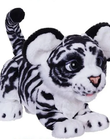 Image product - 2