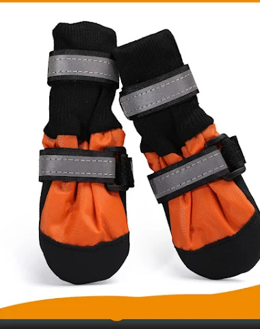 Image product - 2