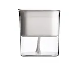 Translucent