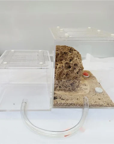 Image product - 2