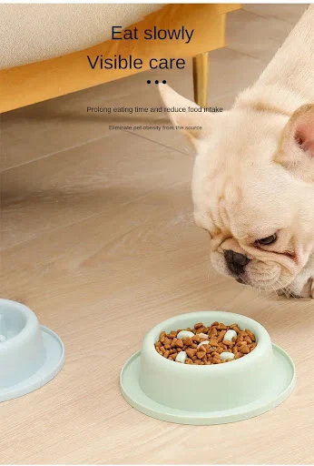 Title 3, Slow Feed Pet Bowl for Cats and Dogs, Prevents ...