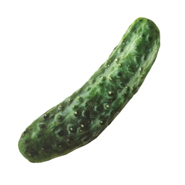 product image - 16