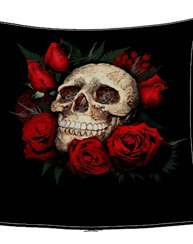 Image product - 3