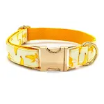 Dog pen