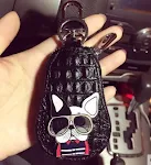 Cool dog