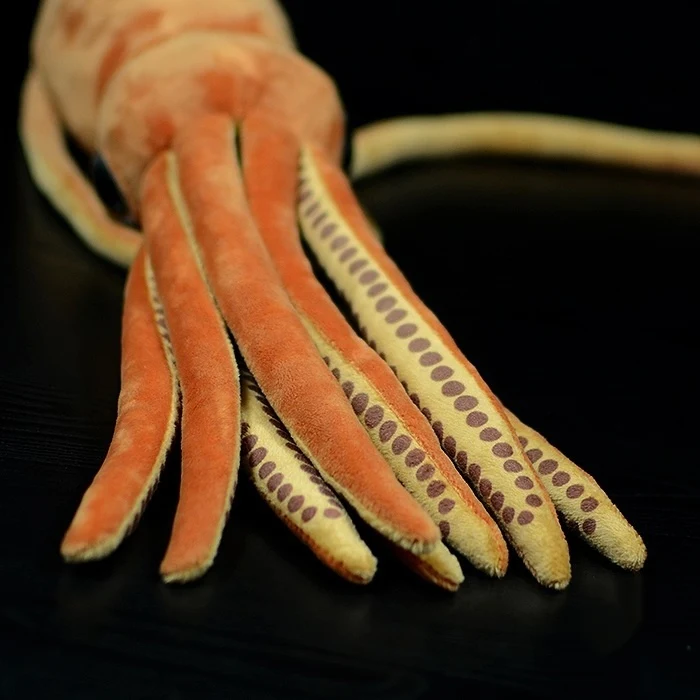 product image - 4