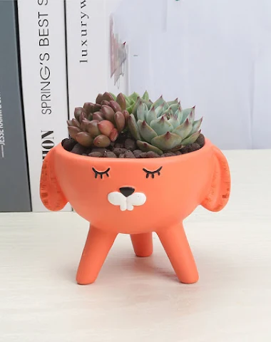 Image product - 2