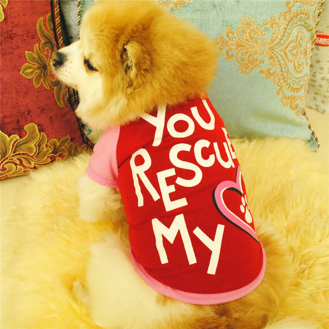 Title 5, Monogrammed pet vest, personalized with initial...