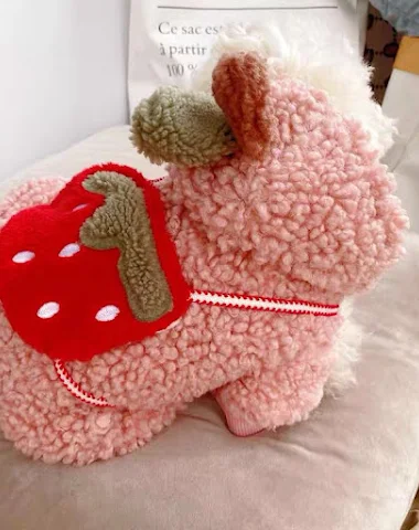 Image product - 2