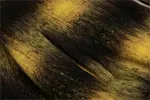 miniatures image - 29