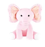 Pink1