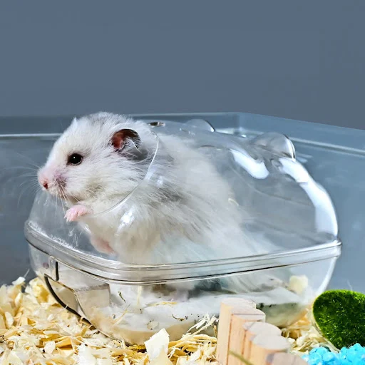 Hamster Bathroom Transparent Hamster Mouse Pet Toilet Cage Box Bath Sand Room Toy House Small Pet Supply Accessories — photo 2
