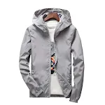 Light Gray
