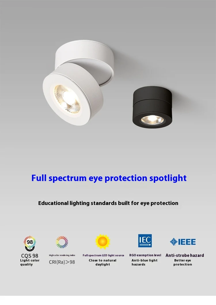 Title 16, Adjustable Angle Surface Mounted LED Spotlight ...
