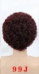 Color99J