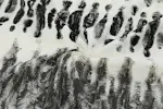 miniatures image - 9