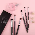 6 sets of brushes