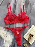 Flower mesh embroidery see-through push-up underwear set enhances your shape, providing comfort and a seductive silhouet — photo 5