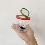 Caixa de insetos infantil para atividades ao ar livre. Explore a natureza, observe insetos e descubra o mundo da entomologia. Diversão garantida. — foto 7
