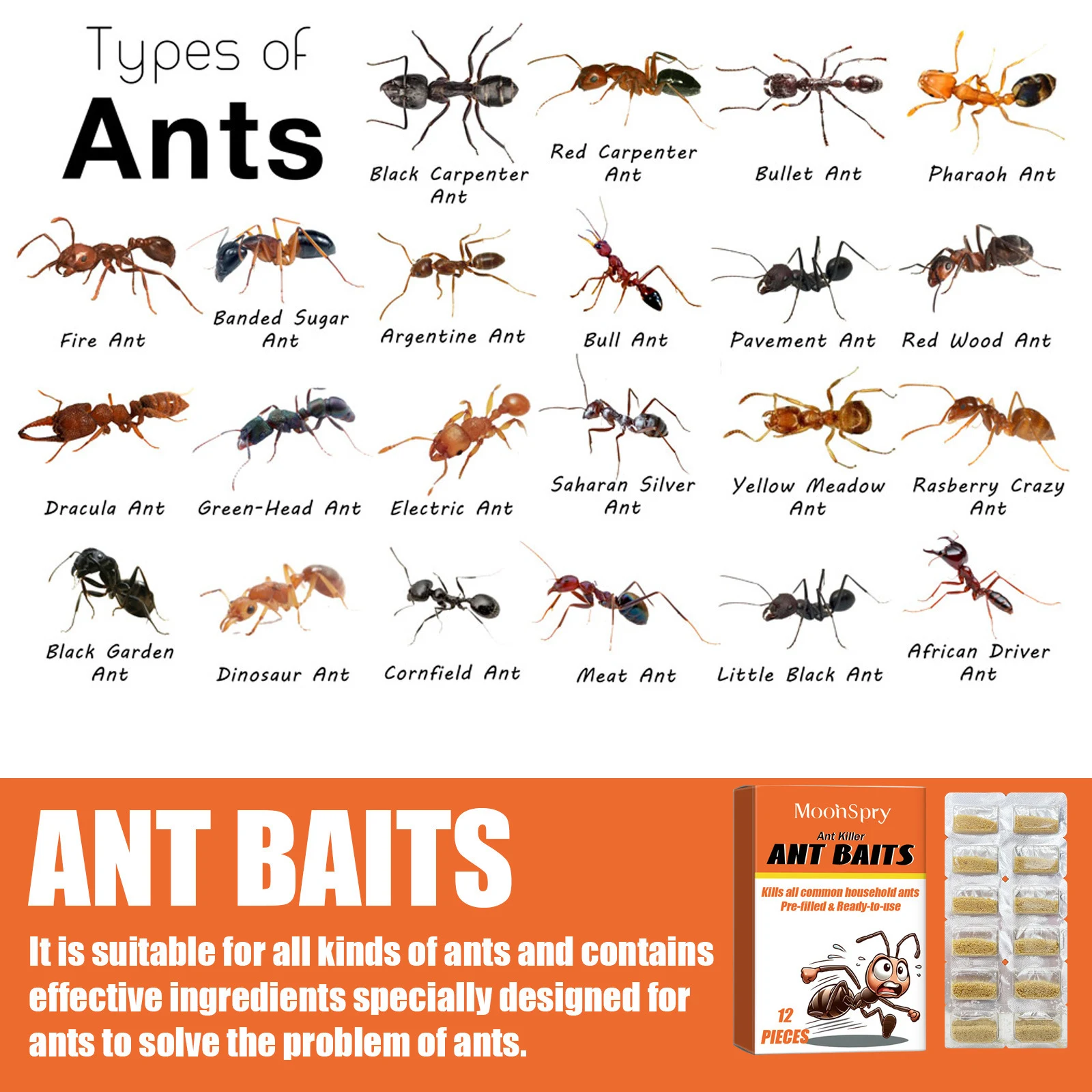 Title 9, Ant Lure Powder Multi-Effect Universal Insectic...