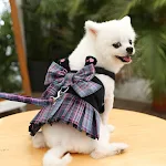 miniatures image - 14