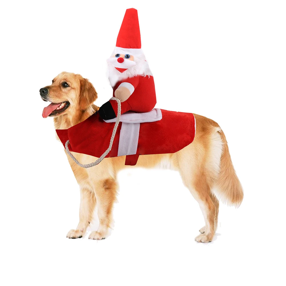 Title 7, Dog Clothes — Dress your best friend in style a...