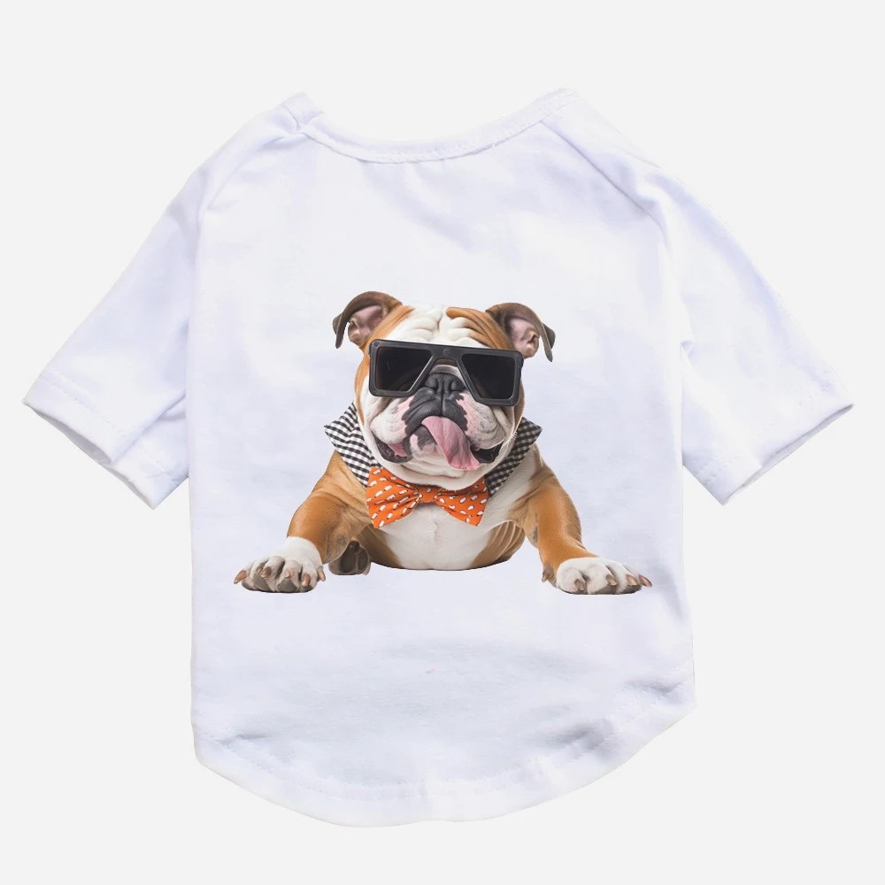 product image - 13