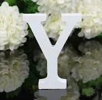 Y