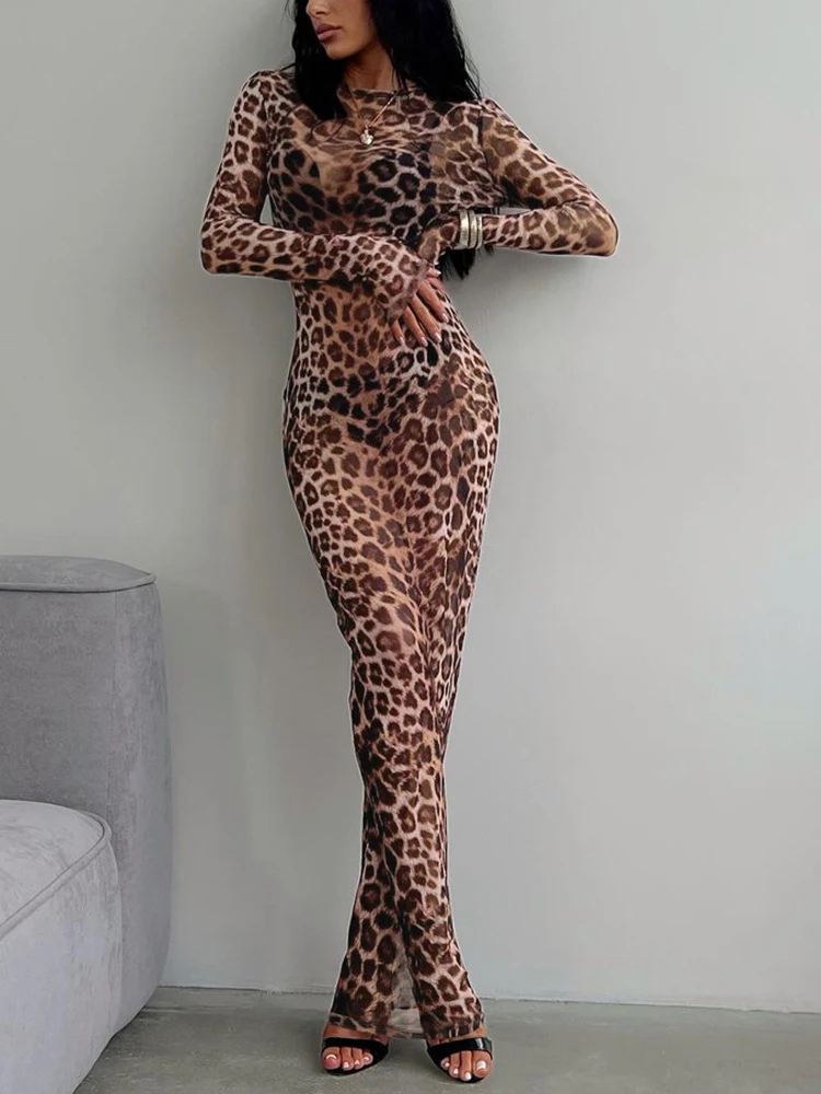 Sexy Wild Leopard Print Long Dress Round Neck Long Sleeve — photo 2