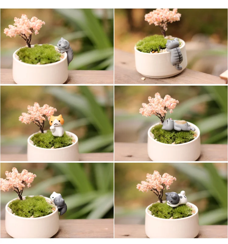 Title 1, Succulent flowerpot with moss micro landscape d...
