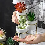 miniatures image - 0