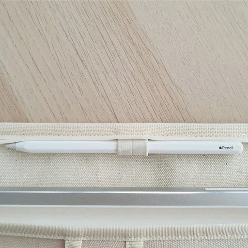 Title 10, Simple Insulated Liner Tablet Storage Bag prote...