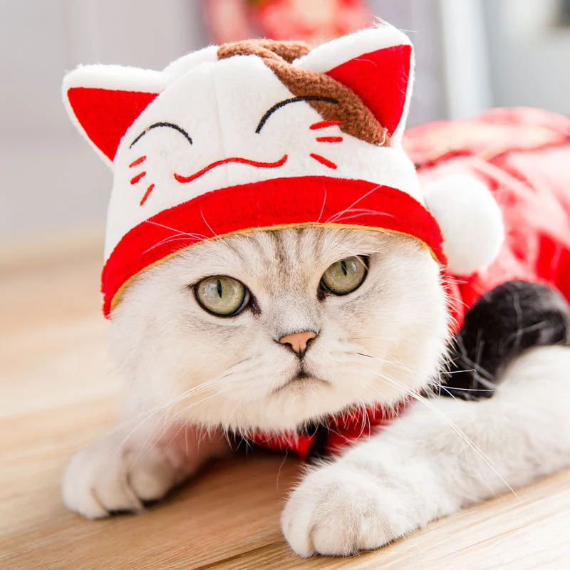 Title 2, Tang Suit Cat Dress Up Accessories Dog Make you...