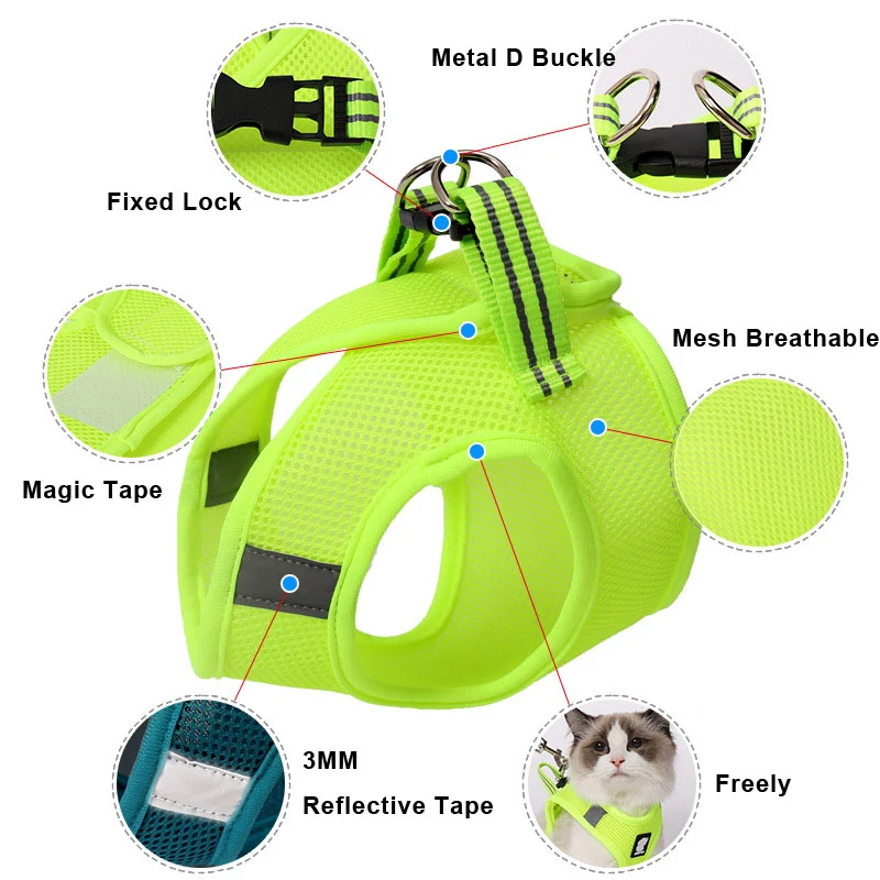 Title 2, Anti-strike cat harness