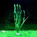 Green C