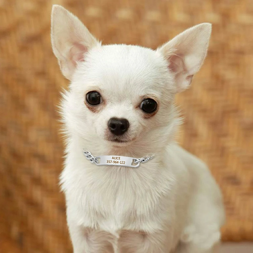 Title 13, Customized Cat Chain Collar Free Engraved Puppy...