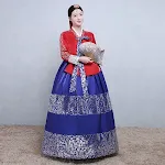 Red Navy Blue Dress