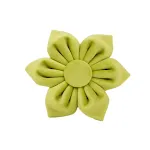 Flower1