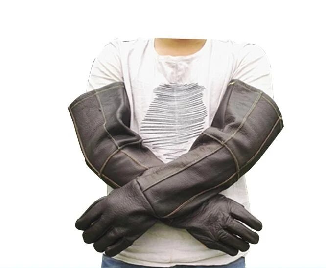 Title 3, Simple Anti Bite And Scratch Pet Gloves Protect...