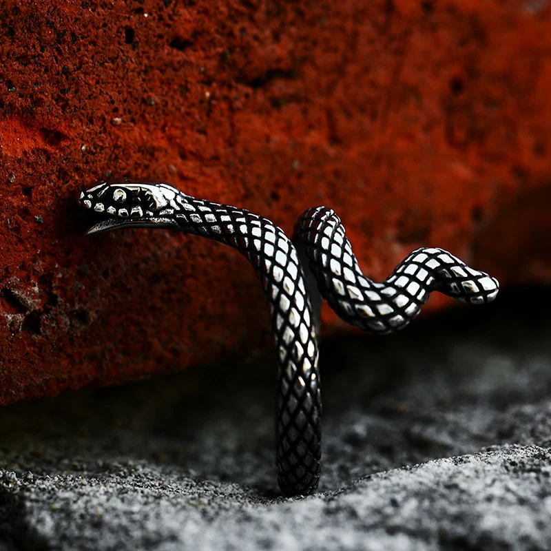 Title 2, Anel de Cobra Simples em Aço Inoxidável Ornamen...