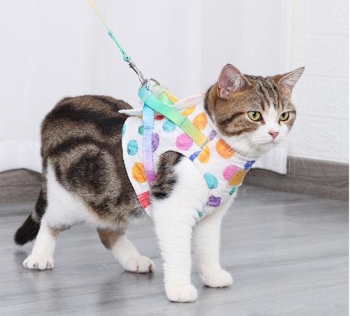 Title 9, Chest Leash Harness for Small to Medium Dogs Se...