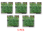 miniatures image - 8