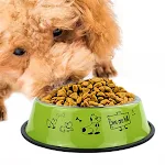 Stainless Steel Pet Feeding Bowls Non-slip Dog Bowls Durable Anti-fall Pet Supplies Cat Puppy Feeder Food Container — photo 3